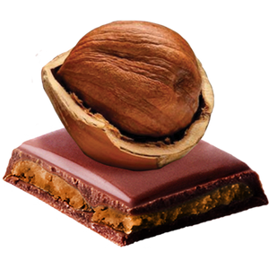 Praline flavoured Cream Filled Milk Chocolate - 100g - Sugarless Confectionery